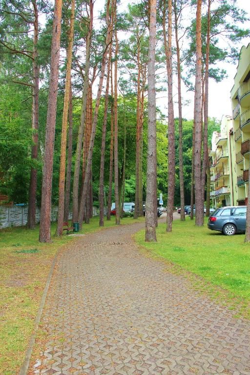 Апартаменты SMM Apartament Gryf Morskie Oko Мендзыздрое